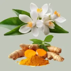 Barberry, Ginger & Orange Blossom